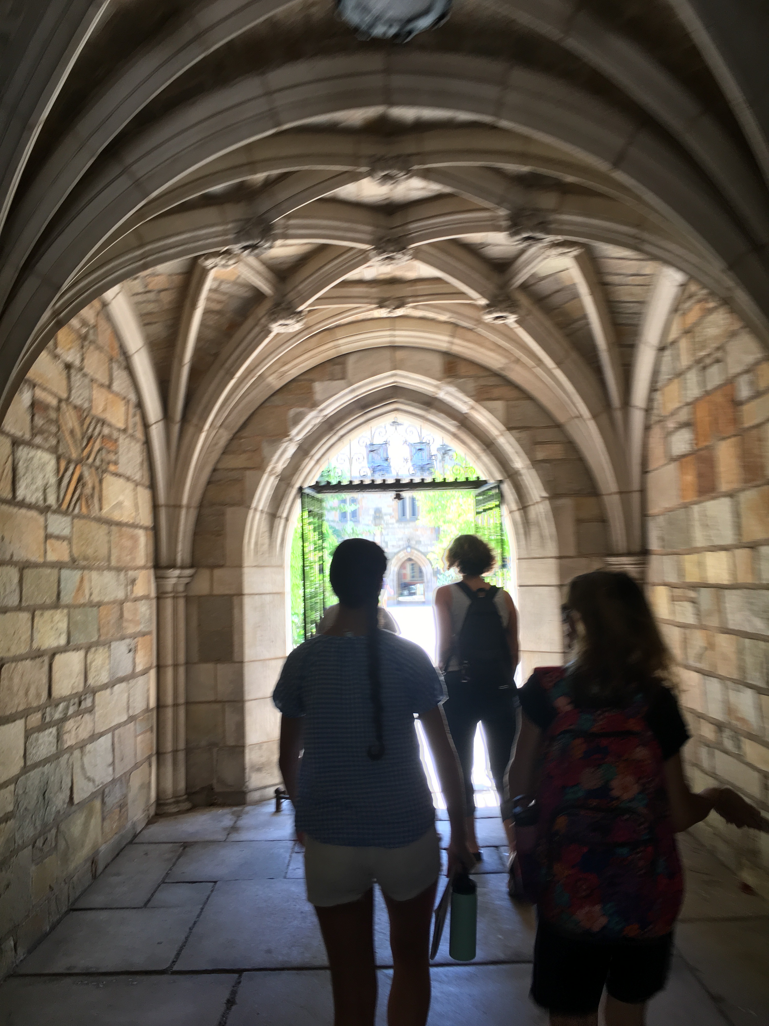 Yale University New Haven Connecticut July 2018 Liz OSullivan